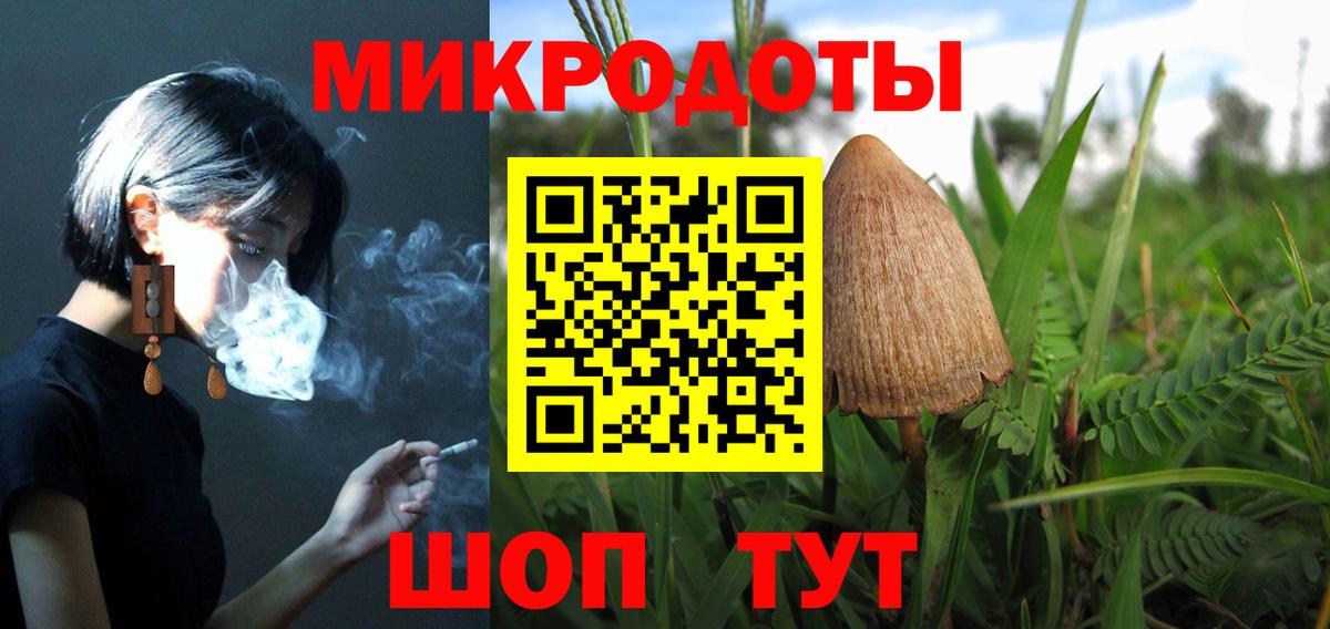 Ачинск  Галлюциногенные грибы Cubensis  Галлюциногенные грибы Cubensis  Вход с VPN 